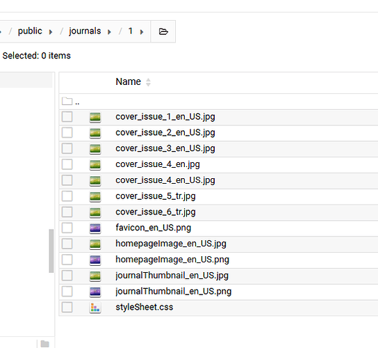 Screenshot 2026-01-26 234304